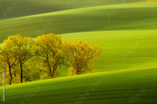 Zielone pola Morawy Południowe -Czeska Toskania