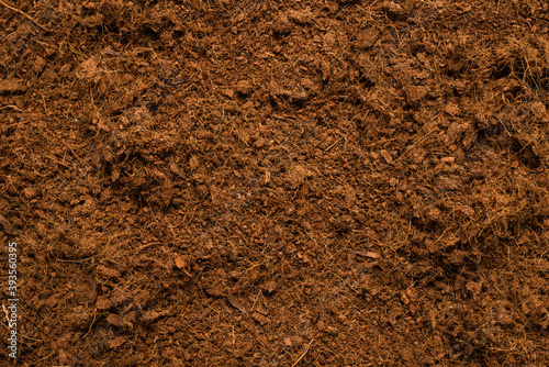 Coconut substrate background.