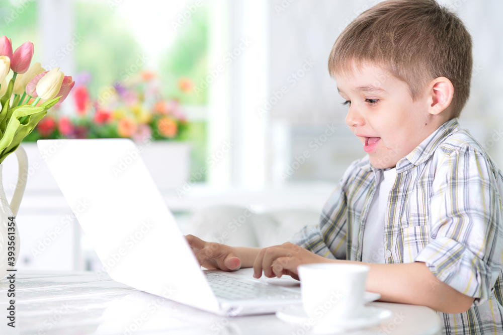 Portrait of cute boy using laptop in room Portrait of cute boy using laptop in room
