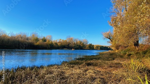 Beautiful golden autumn with calm river and pure blue sky