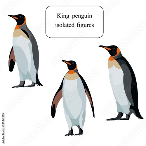 Three figures of standing Antarctic king penguins