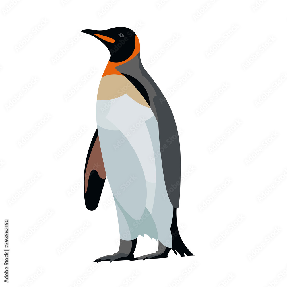 Obraz premium Isolated figure of the standing king penguin