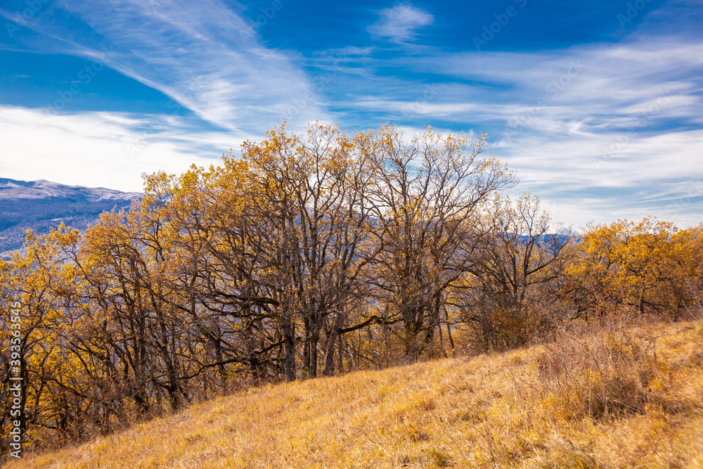 Mountain day autumn, Caucasus