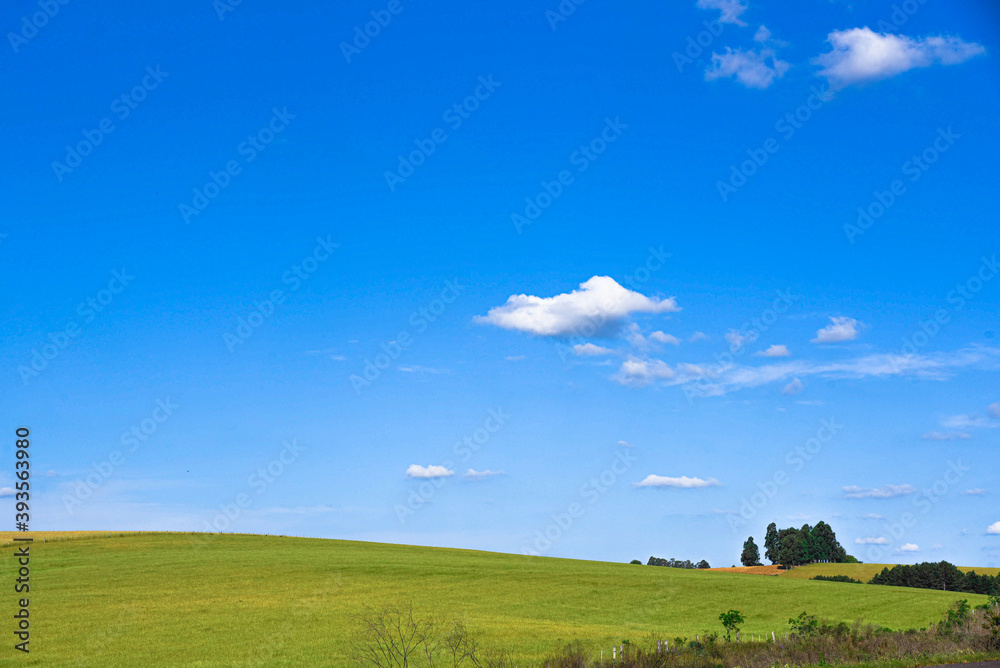 Rural landscape and fields sown with ryegrass and in the background the blue horizon Rural landscape and fields sown with ryegrass and in the background the blue horizon