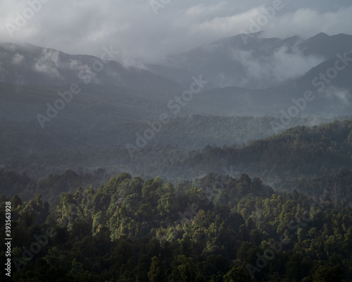 Mist over the forest in Kahurangi National Park, South Island, New Zealand