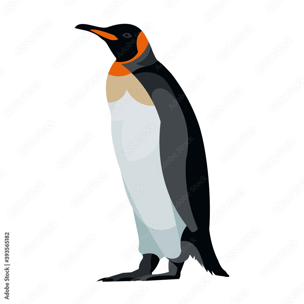 Fototapeta premium Isolated figure of a standing king penguin