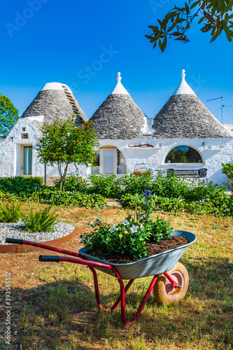 Bild auf Leinwand Olive trees and trulli of the Itria valley. Puglia