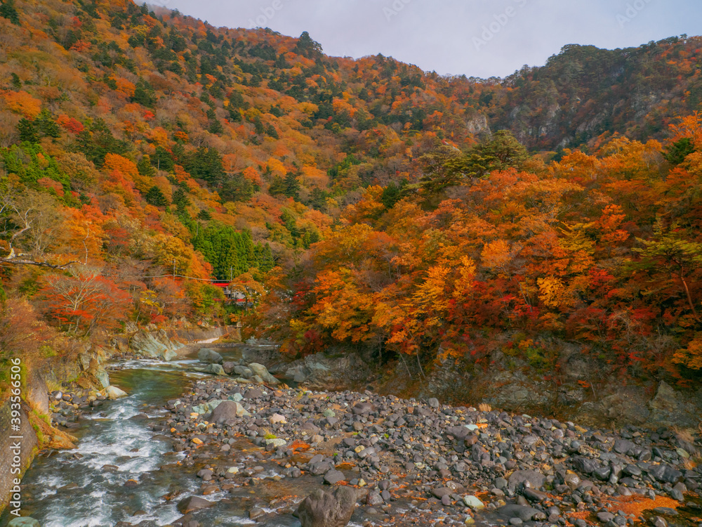 Valley with autumn leaves (Tochigi, Japan)