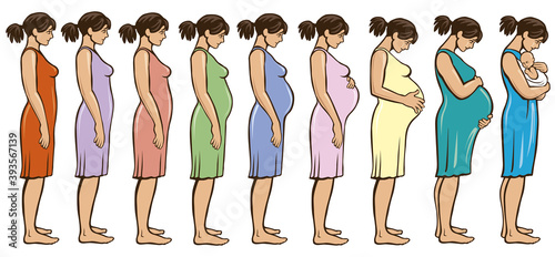 The main stages of pregnancy. Changes in the female body during pregnancy month after month