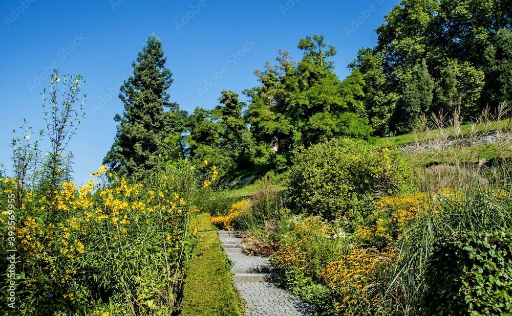 Bodensee Mainau Blumen Insel Bodensee Mainau Blumen Insel