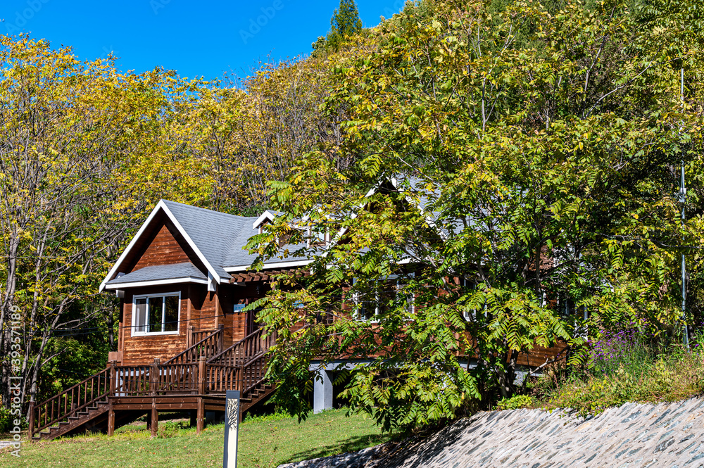 Picturesque landscape of red leaves in Yunling, Liuhe, Jilin, China