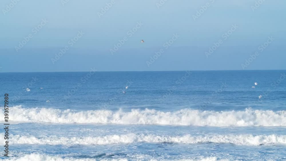 Rolling waves on the blue sea, seabirds flying in the sky