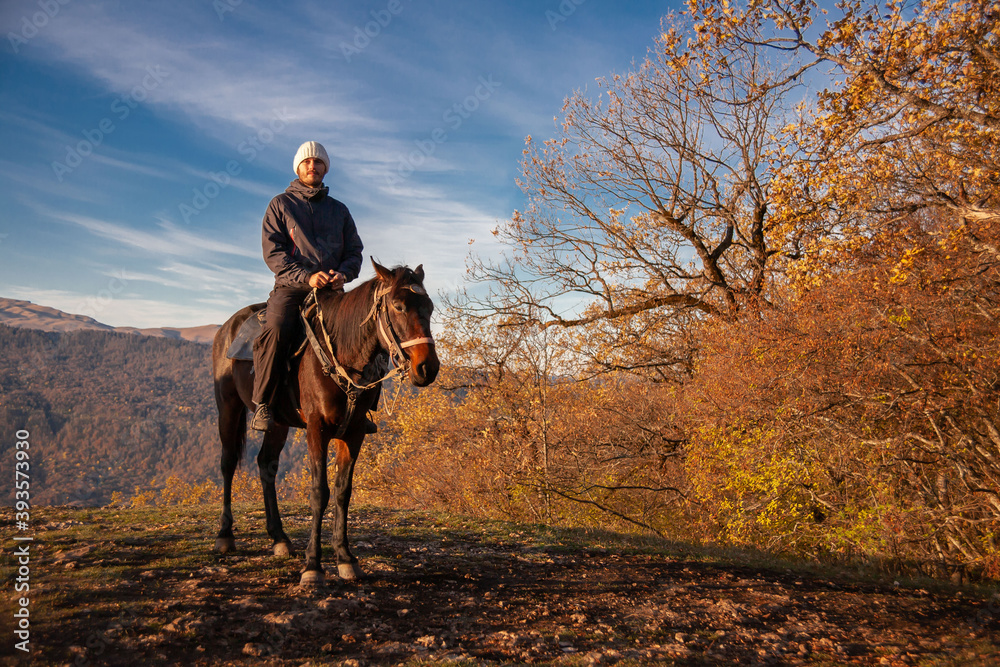 Man and horse, landscape autumn Man and horse, landscape autumn