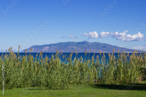 Marine panorama. View of the island of Elba from Pianosa island. Reeds in the foreground. The blue sky with some clouds.