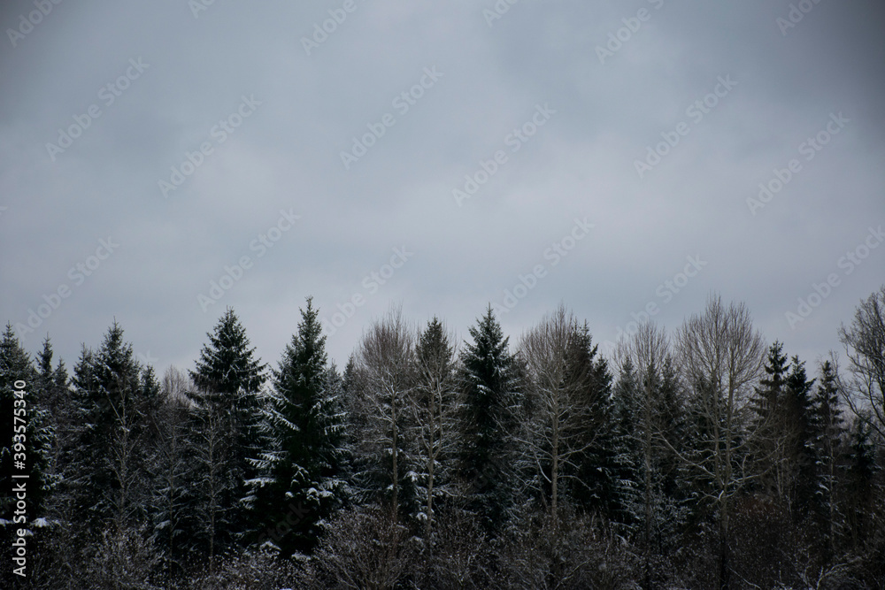 Nature Nature