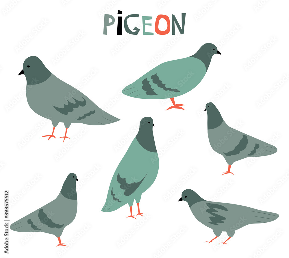 Vector illustration with cute cartoon pigeions.
