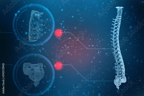 Bild auf Leinwand 3d illustration human vertebral column