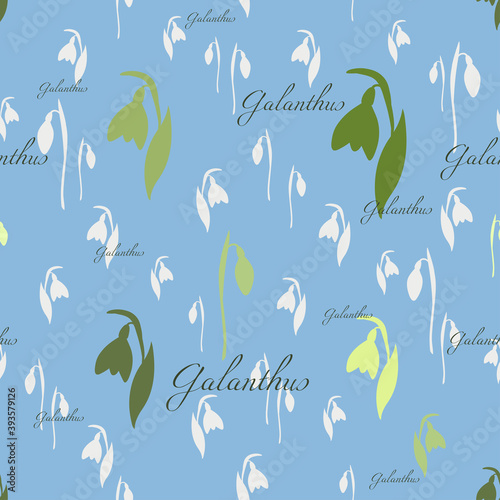 The snowdrops seamless pattern. Abstract ornament with spring flowers silhouettes and Galanthus text.