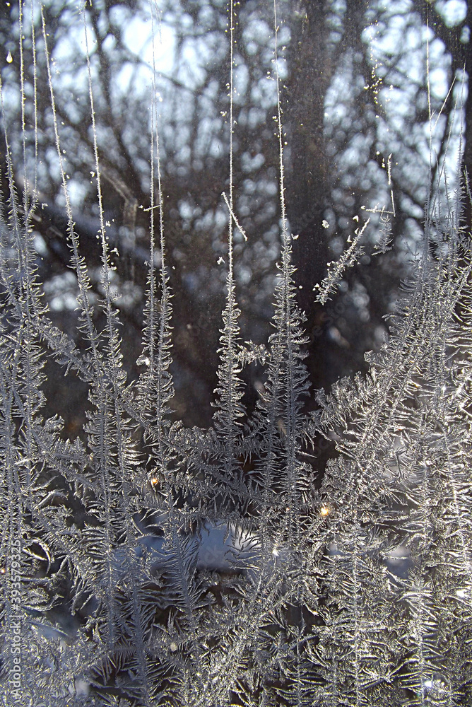 Fototapeta premium Frosty pattern on the window in winter (dendrites).