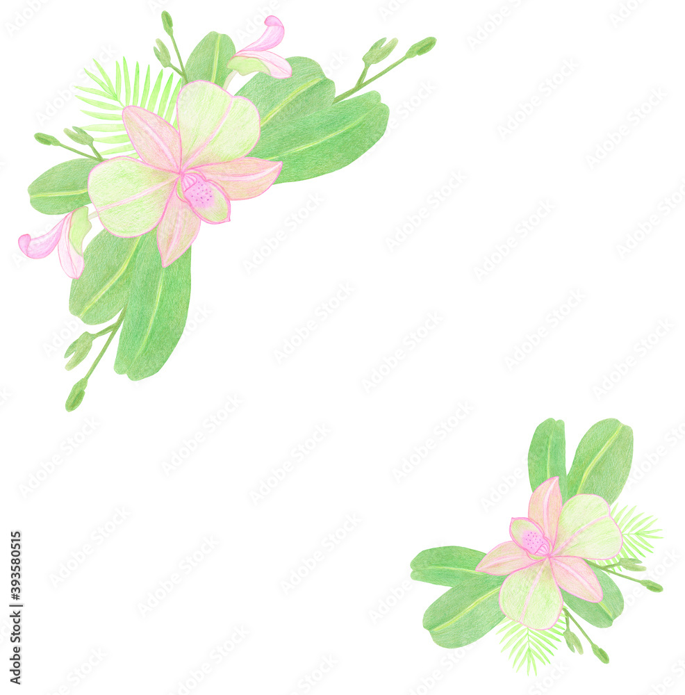 Corner frame template with watercolor pink orchid flowers and leaves on white background
