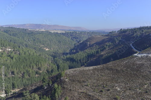 panoramic landscape view with trees and mountains