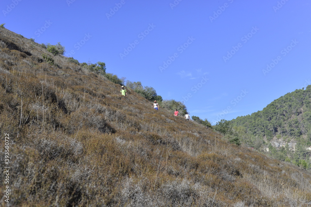 group of hikers on the mountain trail, summer nature landscape group of hikers on the mountain trail, summer nature landscape