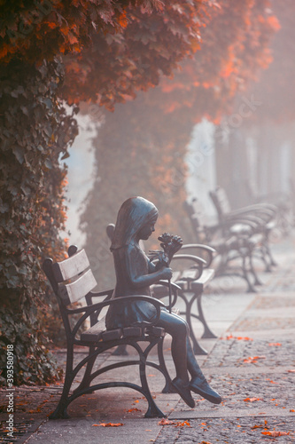 Fog in old town of Olesnica photo