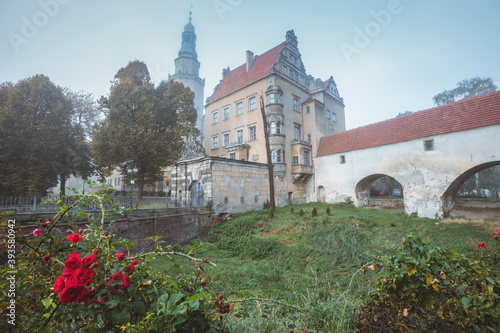 Olesnica Castle in fog photo