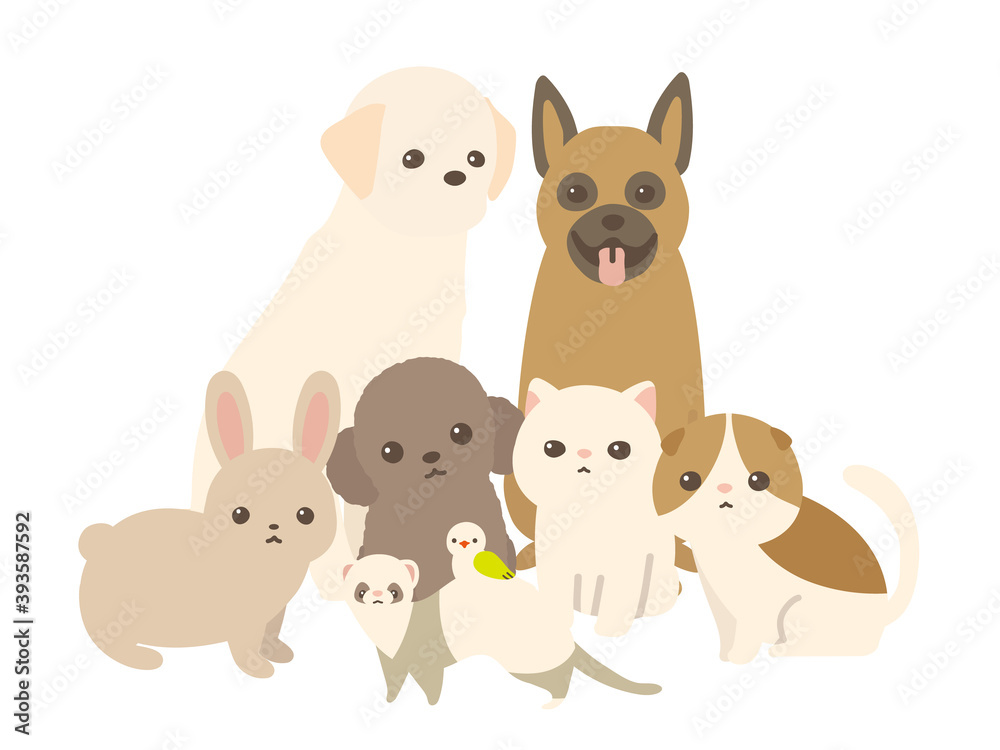 Fototapeta premium ペット 犬と猫と兎とフェレットと鳥 背景白