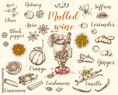 Vintage vector hand drawn mulled wine