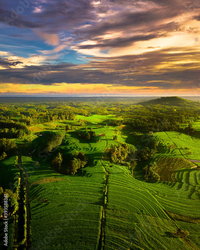 aerial view of rice fields in north bengkulu indonesia