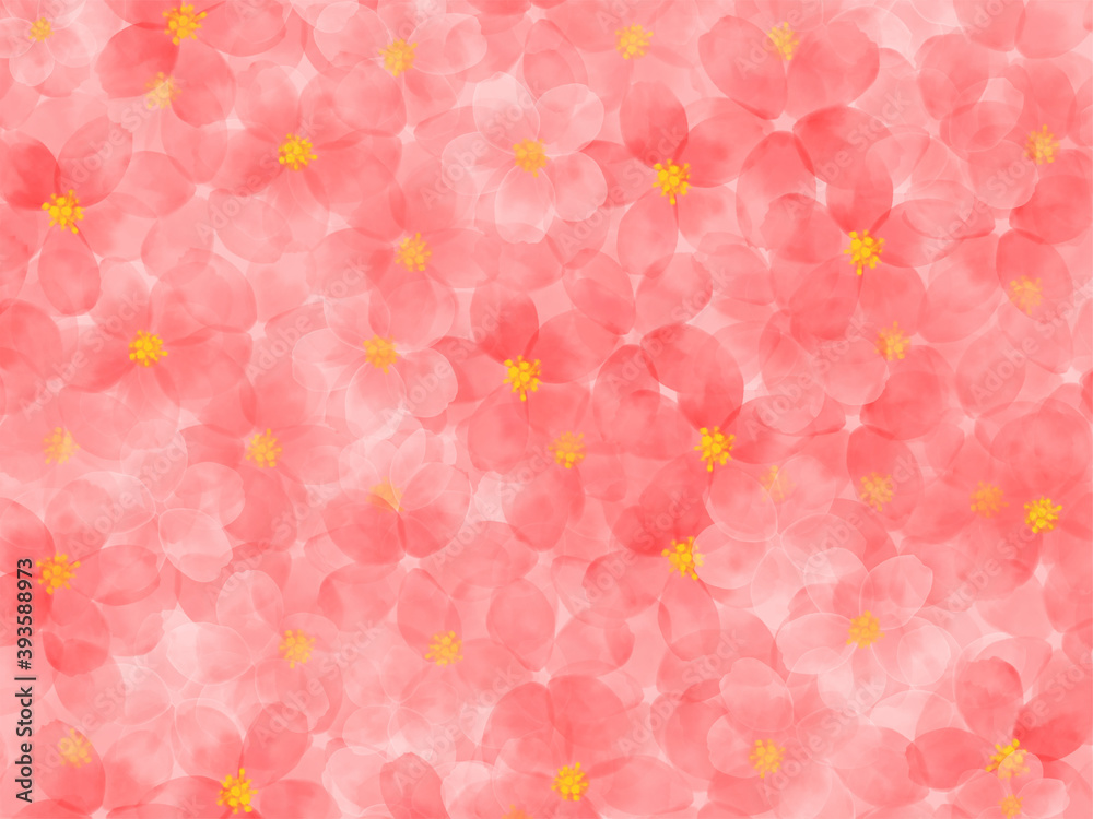 水彩の桜イラスト　背景素材