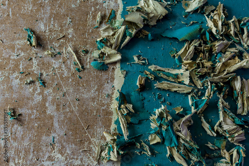 Restoration of an old door. Removing old paint layers. View from above . Close-up. Painted door, twisted layers of blue paint, white putty.