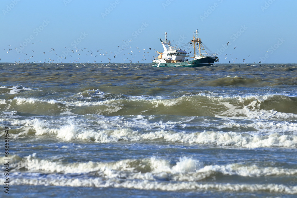 Shrimp trawler fishing in the North Sea near to the Netherlands beach, followed by a flock of seagulls Shrimp trawler fishing in the North Sea near to the Netherlands beach, followed by a flock of seagulls