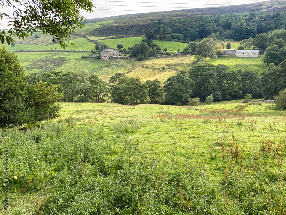 Rural landscape, with old trees, farms, and distant hills in, Wainstalls, Halifax, UK