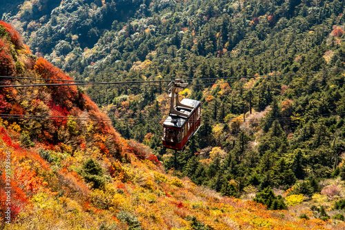 長崎県雲仙市　雲仙仁田峠の紅葉とロープウェイ