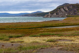 The north tundra swamp on the coast of the Barents Sea, Havoysund national scenic route, Northern Norway.