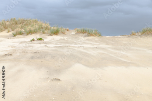 Fototapeta Naklejka Na Ścianę i Meble -  Sand blowing over the beach forming dunes during a storm at the dutch coast