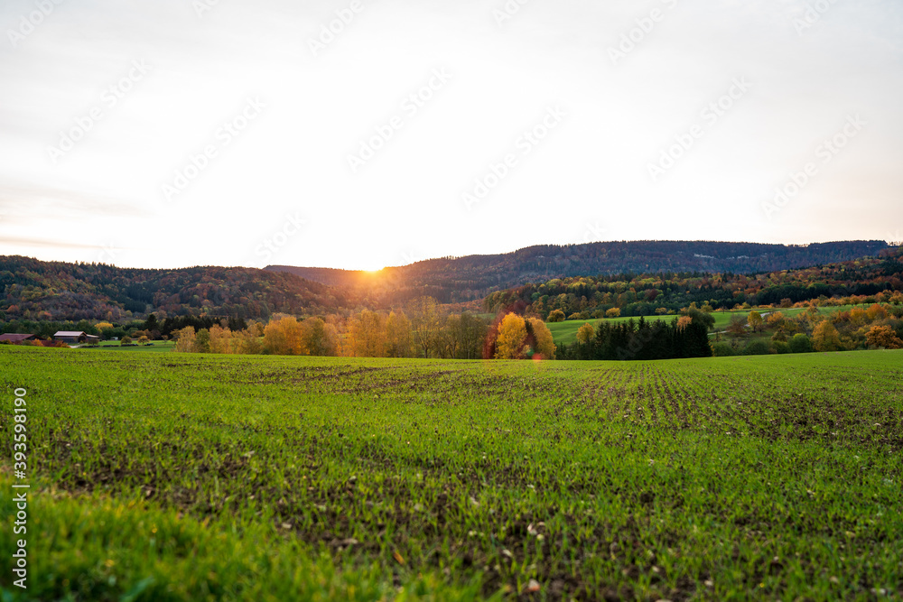 sunrise in autumn mountain with field view