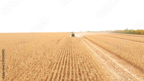 Aerial shot of harvester gathering corn crop in farmland. Flying over combine working on farm during harvesting. Beautiful countryside landscape with large field at background. Front view