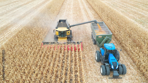 Aerial shot of combine loading off corn grains into tractor trailer. Agricultural machines working in farmland during harvesting. Farming concept. Top view