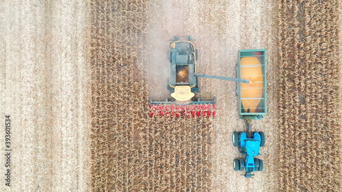 Aerial shot of combine loading off corn grains into tractor trailer. View from high to agricultural machines working in farmland during harvesting. Farming concept