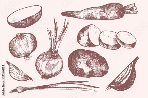 Hand-drawn illustration of vegetables
