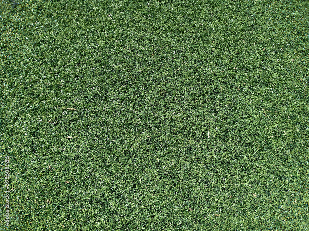 Obraz premium Background or texture of green artificial grass as yard.