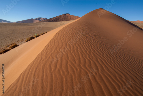 Ridgeback Dune