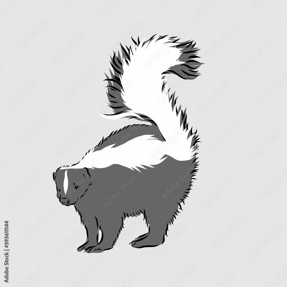 Obraz premium Skunk. Hand drawing of wildlife. Animals of North America series. style. Vector illustration art. Black and white. Isolated object of nature naturalistic sketch. skunk vector sketch illustration