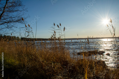 Fototapeta Naklejka Na Ścianę i Meble -  Bright sun shines over the River Vuoksa, Russia