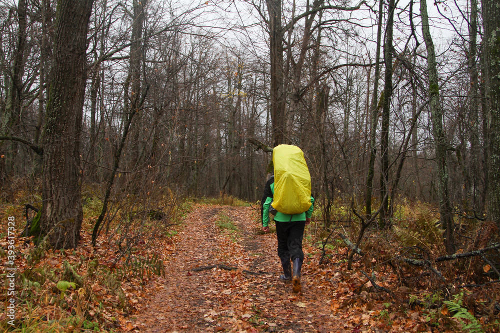 Obraz premium Travel tourist with a backpack goes in the fall