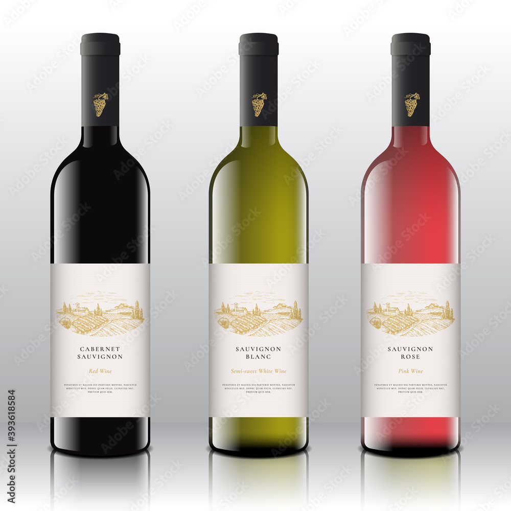 Premium Quality Red, White and Pink Wine Labels Set on the Realistic Vector Bottles. Hand Drawn Grapes Bunch and Rural Vineyard Landscape Sketches with Vintage Typography. Isolated
