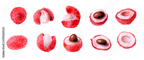 Set of fresh lychee fruits. Watercolor hand drawn illustration isolated on white background. Botanical drawing of exotic fruits. Collection of tropical Litchi fruits.